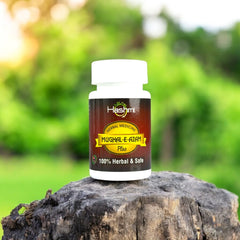 Mughal-e-Azam Capsule